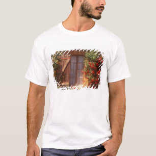 Camiseta UE, França, Provença, Vaucluse, Apt. Casa 2