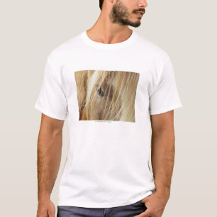 Camiseta Um amigo para nunca