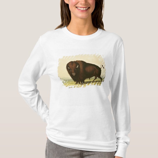 Camiseta Um bisonte, c.1832 (Frente)