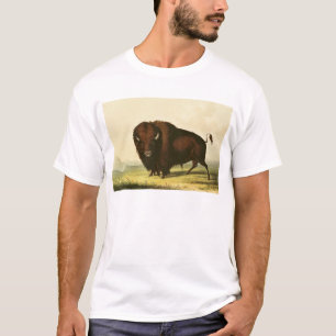 Camiseta Um bisonte, c.1832