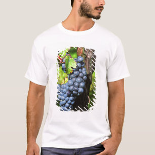 Camiseta Um cacho de uvas merlot maduras em uma videira com