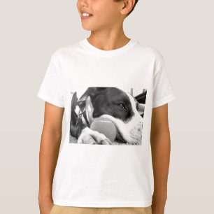 Camiseta um cachorro pitbull, bonito e bonito, branco com b