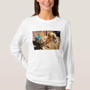 Camiseta Um camelo amigável espera seu próximo passageiro,