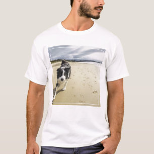 Camiseta Um cão de border collie que funciona na praia