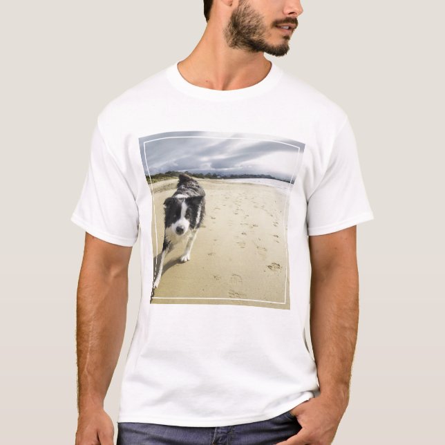 Camiseta Um cão de border collie que funciona na praia (Frente)