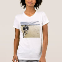 Um cão de border collie que funciona na praia