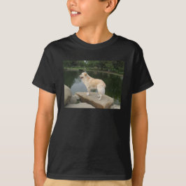 Camiseta Um Cão Em Um Lago