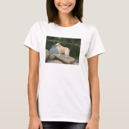 Camiseta Um Cão Em Um Lago