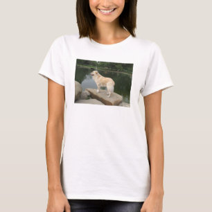 Camiseta Um Cão Em Um Lago