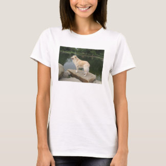Camiseta Um Cão Em Um Lago
