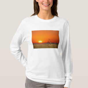 Camiseta Um casal de girafas caminha para o pôr do sol, em