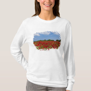 Camiseta Um cheio do campo de flores vermelhas