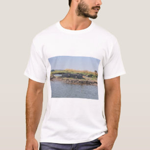 Camiseta Um Crocodilo Arrefecendo Perto do Rio Zambezi.