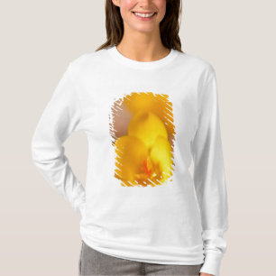 Camiseta Um crocus amarelo floresce em Portsmouth, Novo