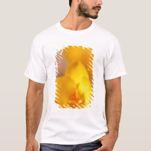 Camiseta Um crocus amarelo floresce em Portsmouth, Novo