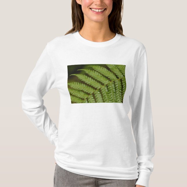 Camiseta Um detalhe de samambaia, da Mindo Cloud Forest, (Frente)