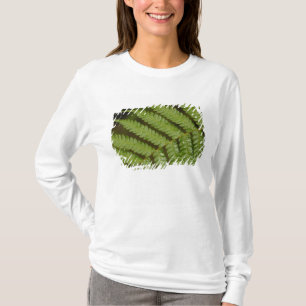 Camiseta Um detalhe de samambaia, da Mindo Cloud Forest,