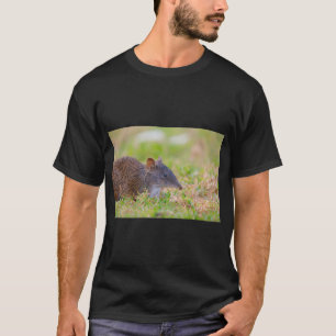 Camiseta Um Fofo Bandicoot Crash Procurando Comida