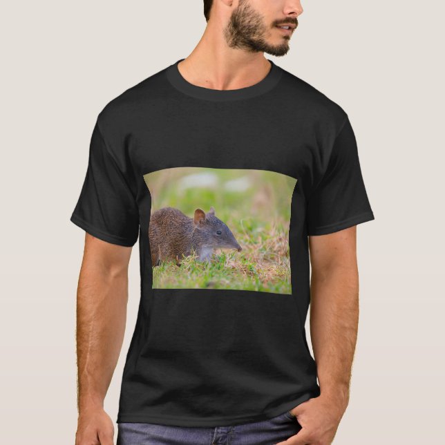 Camiseta Um Fofo Bandicoot Crash Procurando Comida (Frente)