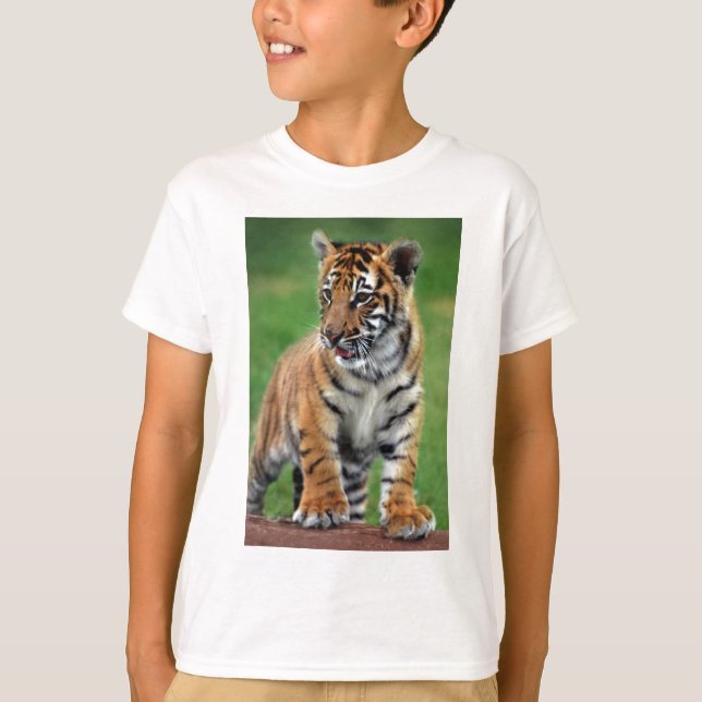Camiseta Um gatinho (Frente)