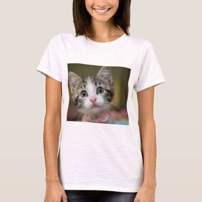 Camiseta Um gatinho bonito com olhos verdes (Frente)