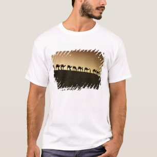 Camiseta Um grupo de pastores de camelos com seus camelos