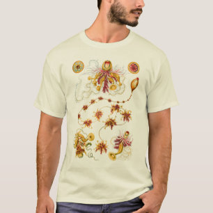 Camiseta Um Hydrozoan - Siphonophores