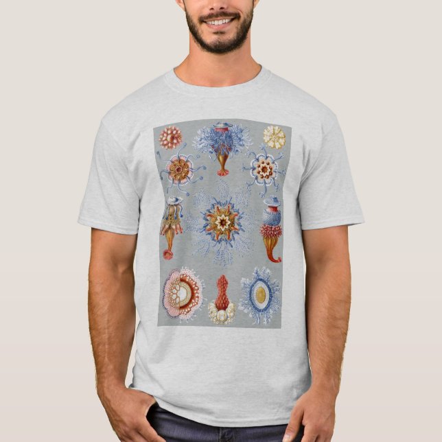 Camiseta Um Hydrozoan - Siphonophores (Frente)