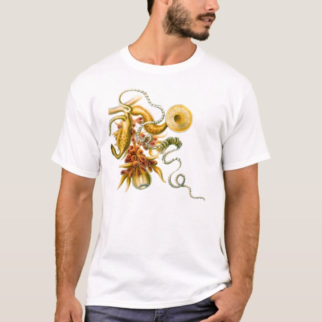 Camiseta Um Hydrozoan - uvaria de Salacella (Frente)