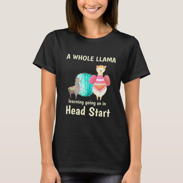 Camiseta Um Llama Inteiro com Avanço no Aprendizado (Frente)