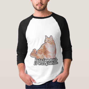 Camiseta Um meme engraçado de gato ranzinza para amantes de