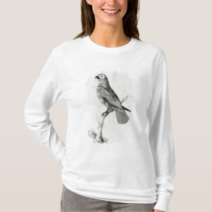 Camiseta Um papagaio, 1786