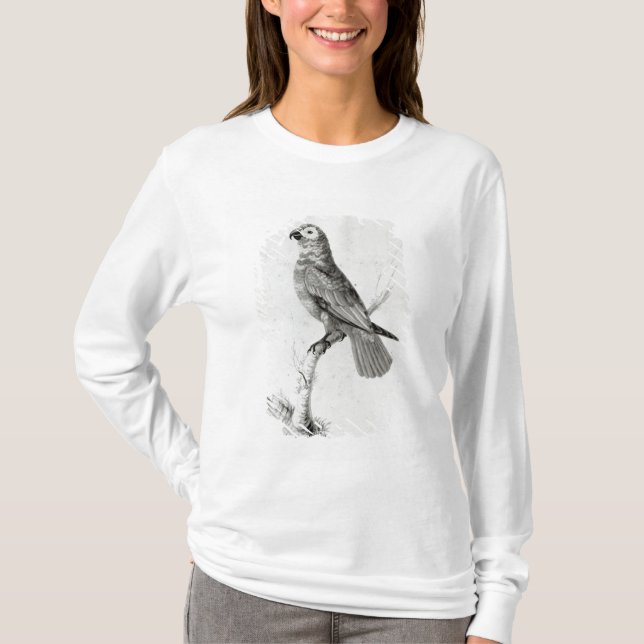 Camiseta Um papagaio, 1786 (Frente)