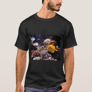 Camiseta Um Peixe Tropical no Recife