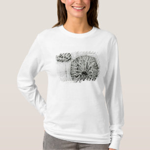 Camiseta Um plano do rei Georges Ilha ou Otheite, 1769