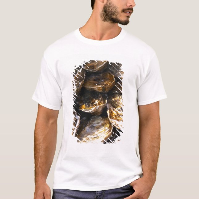Camiseta Um prato de ostras. (Frente)