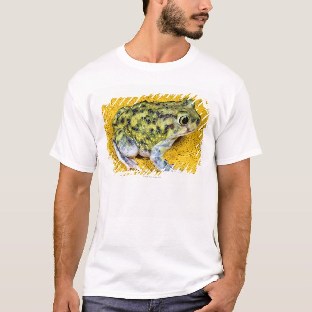 Camiseta Um sapo de spadefoot (Frente)