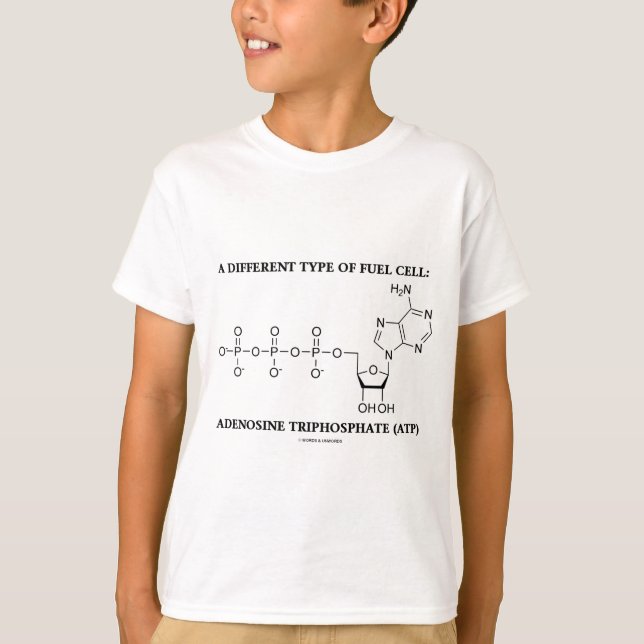 Camiseta Um tipo diferente da célula combustível (ATP) (Frente)