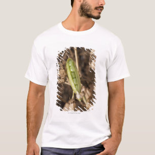 Camiseta Um vagem de ervilha verde em uma planta secada do
