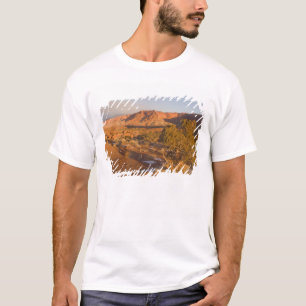 Camiseta Uma árvore de Juniperus osteosperma em 2