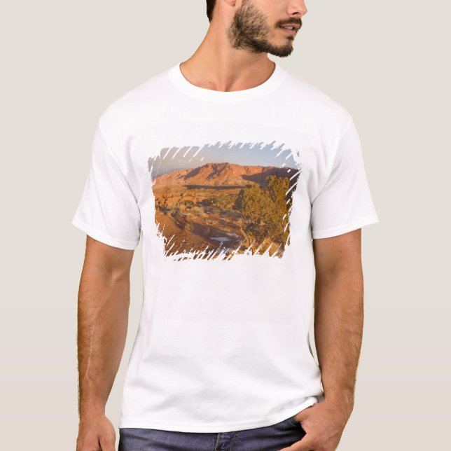 Camiseta Uma árvore de Juniperus osteosperma em 2 (Frente)