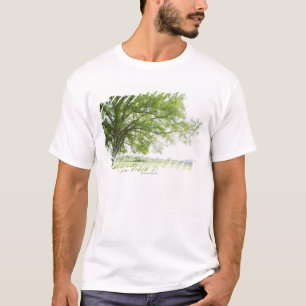 Camiseta Uma árvore no campo da grama