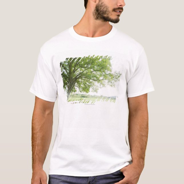 Camiseta Uma árvore no campo da grama (Frente)