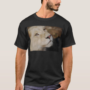 Camiseta Uma cara delicada África do Sul do leão