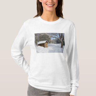 Camiseta Uma cena nevada no Little Lyford Pond da AMC