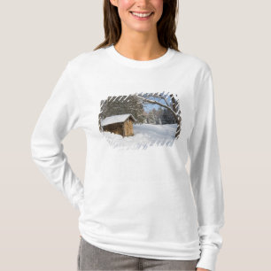 Camiseta Uma cena nevada no Little Lyford Pond da AMC