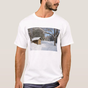 Camiseta Uma cena nevado lagoa do Lyford de AMC em pouca