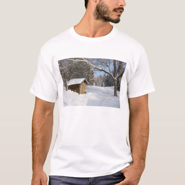 Camiseta Uma cena nevado lagoa do Lyford de AMC em pouca (Frente)