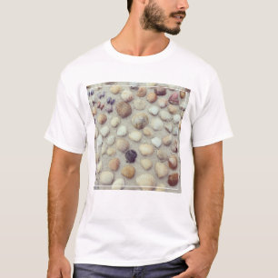Camiseta Uma Coleção De Conchas