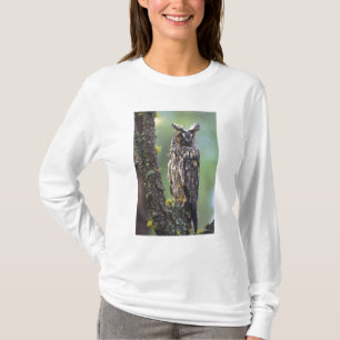 Camiseta Uma coruja-de-orelha-longa empoleirada num ramo de
